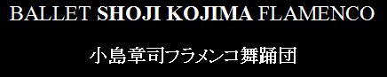 Shoji Kojima Oficial Site